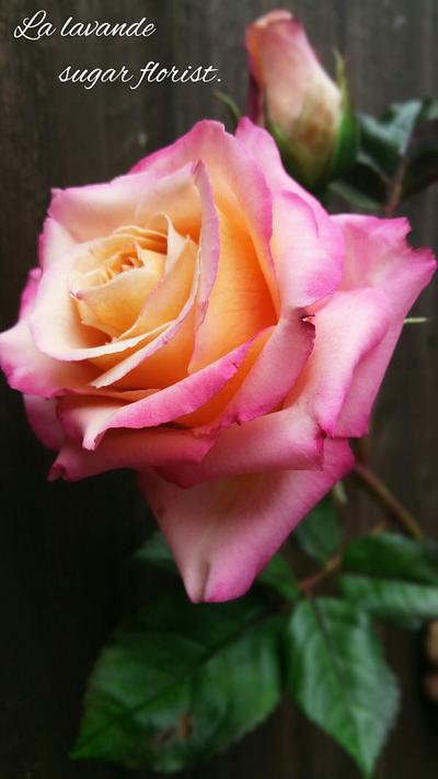 Summer garden rose.  - Cake by La Lavande Sugar Florist