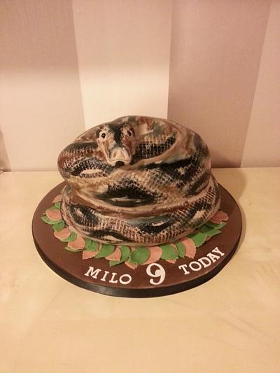 hand painted Boa Constrictor - Cake by lisa-marie green