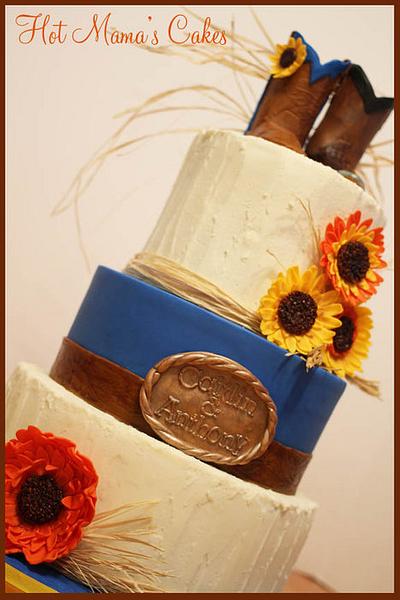 Country wedding!  - Cake by Hot Mama's Cakes