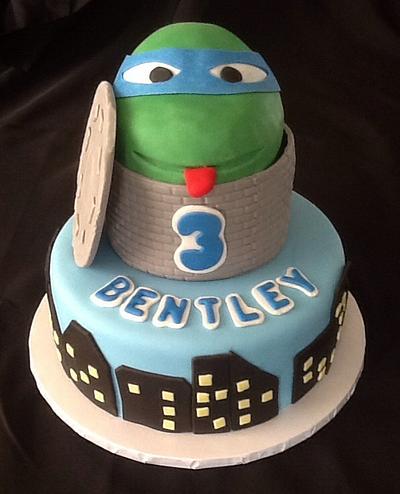 Ninja turtle - Cake by John Flannery