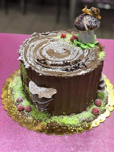 Chocolate cake  - Cake by Alice
