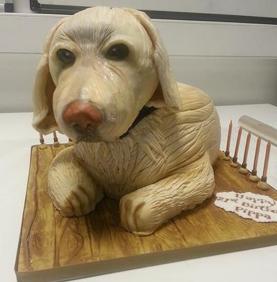 Golden Labrador! - Cake by Suzanne Moloney