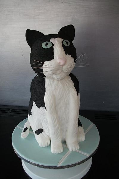 Cat cake - Cake by Lyndsey Statham