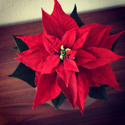 Poinsettia  - Cake by valentimssweets