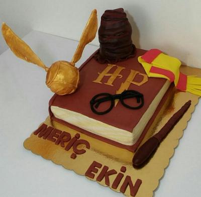 Harry Potter - Cake by ilkbahar pasta