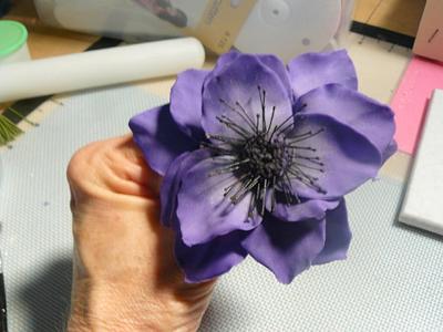 FIRST ANEMONE GUMPASTE - Cake by gail