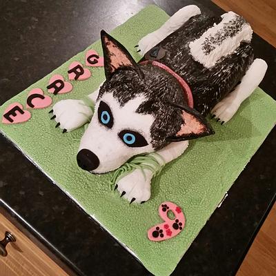 Husky - Cake by Sarah