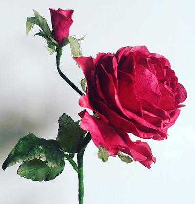 My beautiful Red Rose! - Cake by AmberDoesCakes