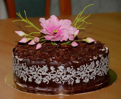 chocolate with cosmos - Cake by Jiřina Matějková