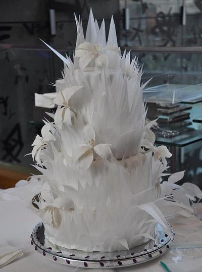 A Feathered Cake - Cake by Lady D