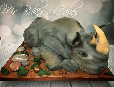 Rhino Cake - Cake by Mr Baker's Cakes