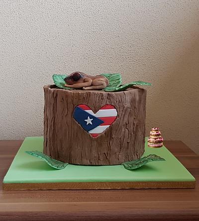 Puerto Rico Rises, Cake Collaboration - Cake by Pluympjescake