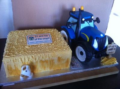 Combined Farmer's 50th and son's 21st - Cake by femmebrulee
