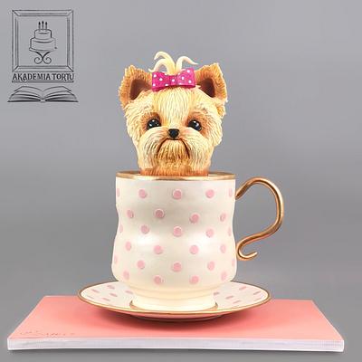 Dog in a tea cup - Cake by Akademia Tortu - Magda Kubiś