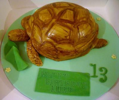 Tortoise cake - Cake by lillybellscakes