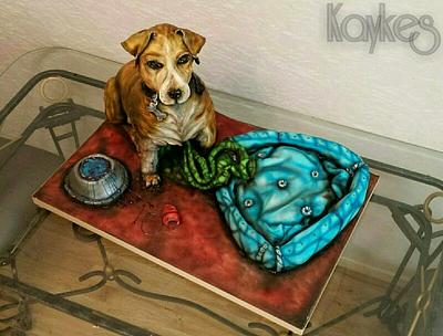 Spike the jack russell cross with his bed an bowl from cake too xxx  - Cake by kaykes