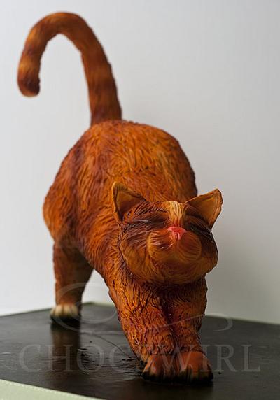 Ginger Cat - Cake by Robyn