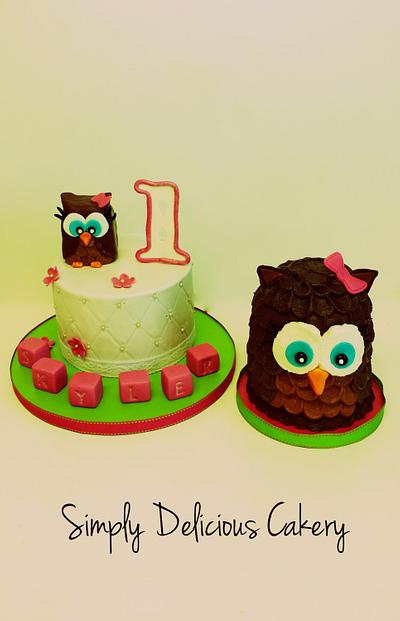 1st birthday Owl theme - Cake by Simply Delicious Cakery
