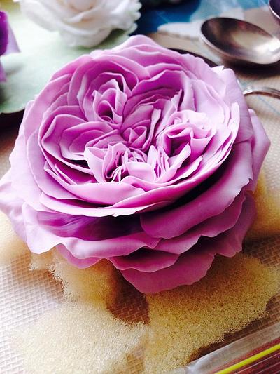 Open Lavender English Rose - Cake by Lisa Templeton