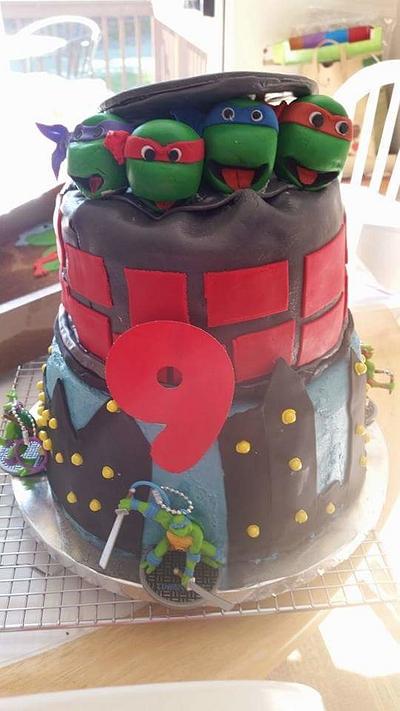 Ninja Turtle Cake - Cake by Cakeolicious