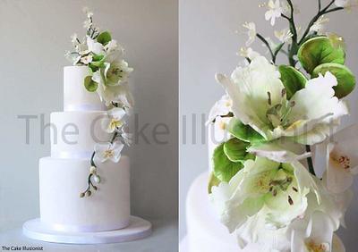 white wedding cake - Cake by Hannah