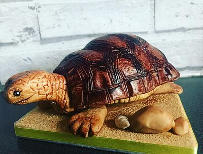 Tiddles the turtle - Cake by Ashlei Samuels