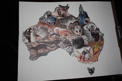 Aussies Take the Cake - Endangered/Extinct Animals and Birds - Cake by Louise Neagle