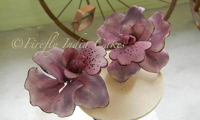 Butterfly Orchids - Cake by Firefly India by Pavani Kaur