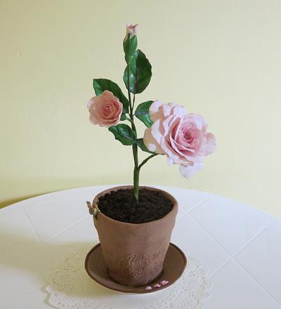 Flower Pot Cake - Cake by The Garden Baker