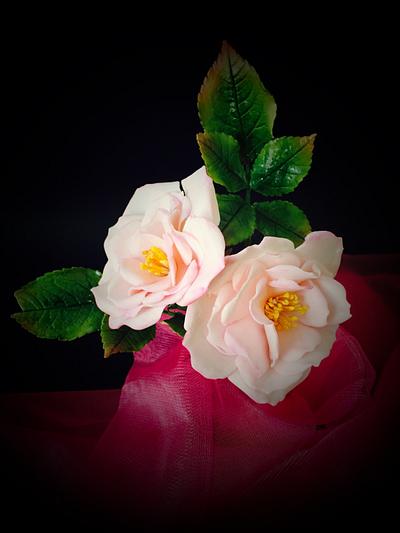Gumpaste open roses - Cake by Prachi Dhabaldeb