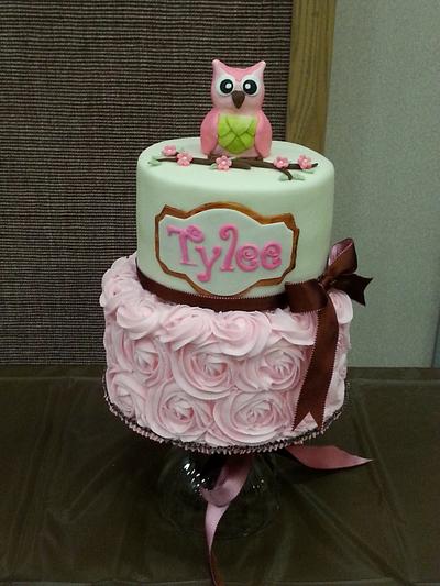 owl baby shower cake - Cake by Beverlee Parsons