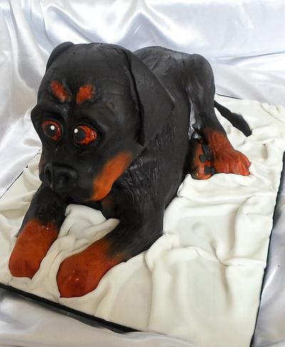 Rottweiler - Cake by Carrie-Anne Dallas