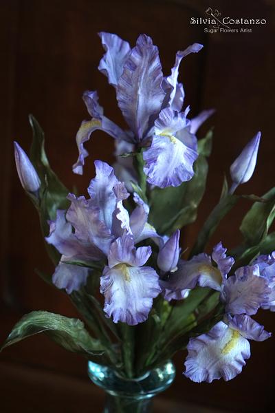 Iris Flowers - Cake by Silvia Costanzo