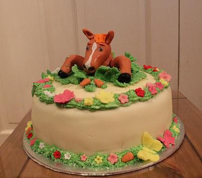 Crazy horse cake - Cake by marge1
