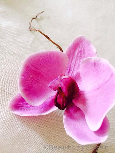Moth Orchid  - Cake by Audrey