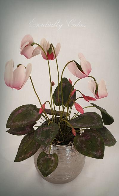 Cyclamen - Cake by Essentially Cakes