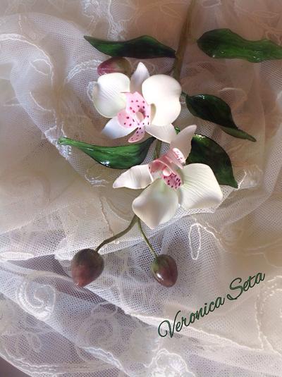 My orchids - Cake by Veronica Seta