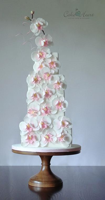 Phalaenopsis Orchids - Cake by Cake Heart
