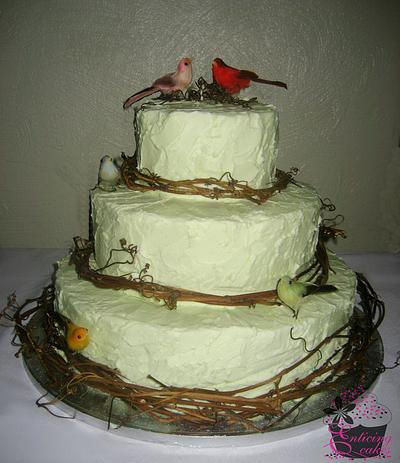 Rustic Mint Green Wedding Cake - Cake by Enticing Cakes Inc.
