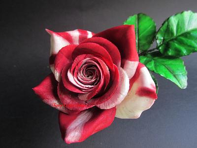 Rose in gum paste - Cake by rosycakedesigner