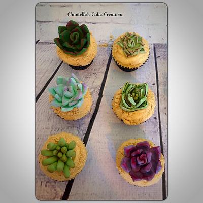 Succulant cupcakes - Cake by Chantelle's Cake Creations