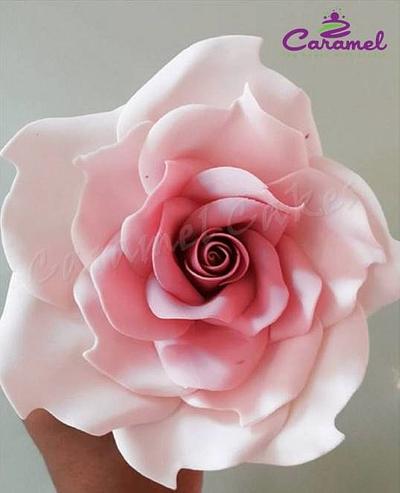 Giant Rose! - Cake by Caramel Doha