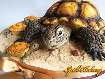 Desert Tortoise Cake - Cake by William Tan