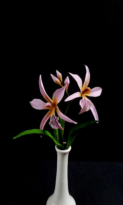 Encyclia Sima Orchids - Cake by Tina Nguyen