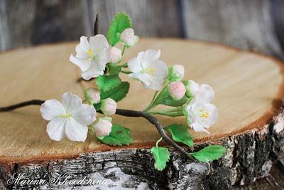 Sugar apple blossom - Cake by Marina