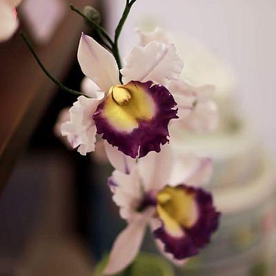 Orchidea cattleya - Cake by myriamcofano