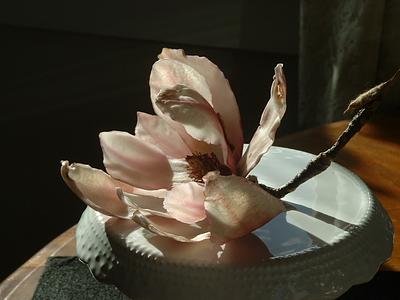 Sugarpaste magnolia - Cake by daisychain375