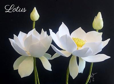 Lotus - Cake by Jeanne Winslow