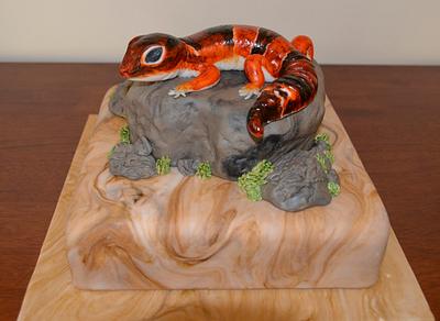 Fat tailed African lizard - Cake by Canoodle Cake Company