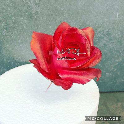 Rose flower paste  by MADL creations  - Cake by Cindy Sauvage 